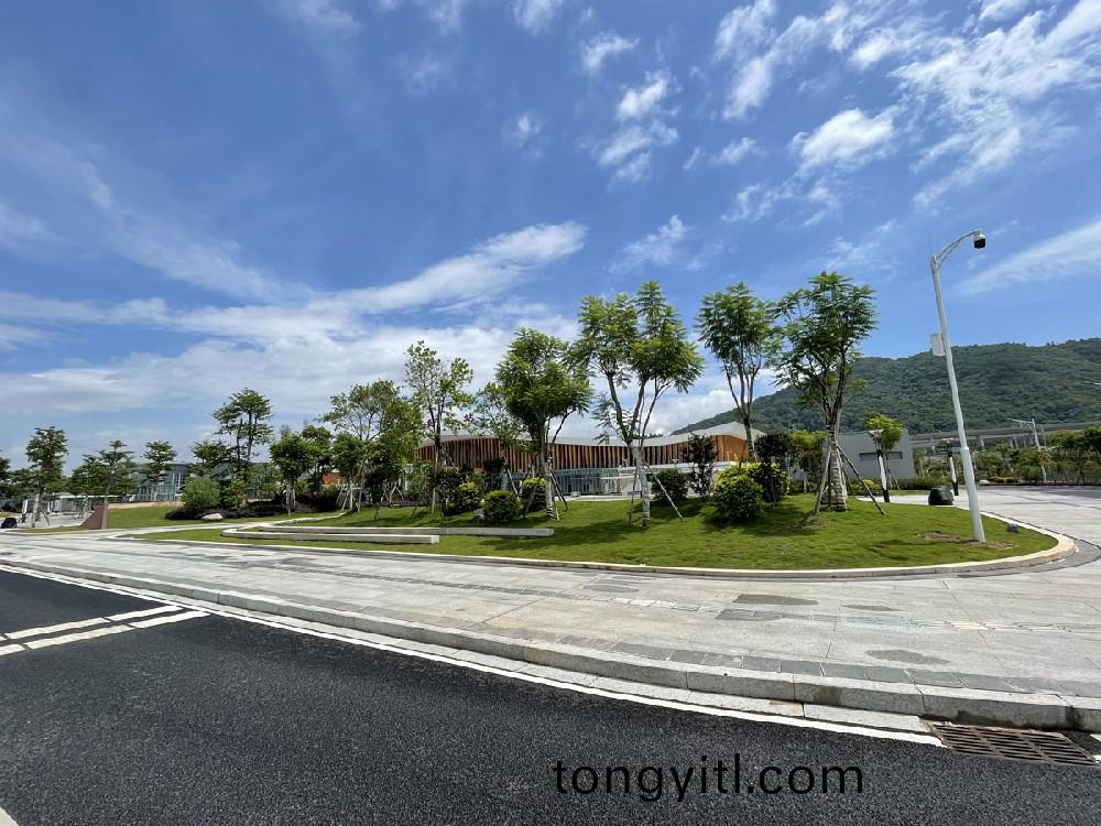 高鐵(tie)站綠(lv)化(hua)案例